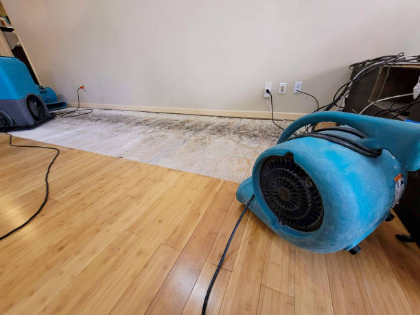 Professional Structural Drying technician working in Wabasha, MN